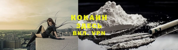 индика Армянск
