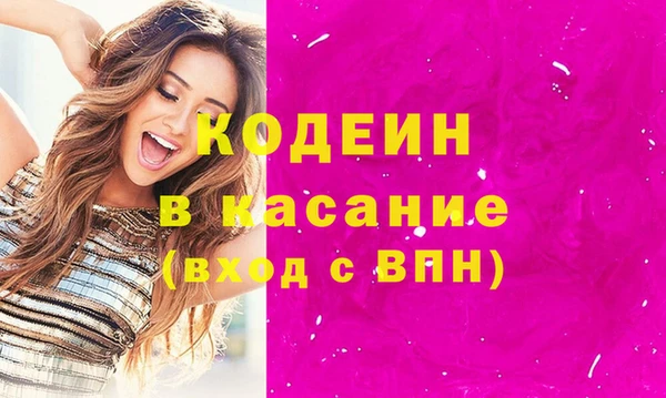 индика Армянск